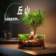 丘辰苔蘚微景觀生態(tài)瓶diy辦公室內(nèi)綠植盆栽桌面創(chuàng)意擺件男女生日禮物 丘山