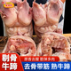 桃李旺新鮮黃牛蹄整只去骨帶筋半熟脫骨牛腳蹄特大無骨牛腳生鮮批發(fā)商用 【3斤】半熟去骨牛蹄