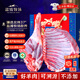 鹽臻牧場(chǎng) 寧夏灘羊肉羊腿羊排組合10斤羊肉生鮮火鍋燒烤年貨禮盒 源頭直發(fā)