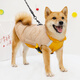 冇寵柴犬狗狗衣服秋冬季保暖防寒帶牽引扣棉衣柯基泰迪比熊小型犬冬天 黃咖色拼接(不含繩) 2XL號(建議21-27斤左右)