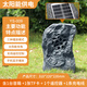 JEQLO無線太陽能藍牙5.0音響戶外公園林室外庭院防水仿真石頭草坪音箱喇叭 009太陽能款