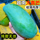 越南大青芒新鮮水果應季孕婦即食熱帶進(jìn)口青皮金煌甜心芒果青芒果 精品果【3斤裝】 單果【500g+】