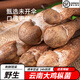 野生云南雞樅菌新鮮500g 1000g火把雞縱大雞樅做油雞樅食材野生菌 野生大雞樅菌【精選大骨朵】 500g【3人份】