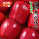 花牛蘋(píng)果 正宗甘肅粉面蘋(píng)果蛇紅果老人兒童水果平安果 凈重4.5斤【單果170g+】