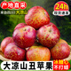 正宗四川大涼山丑蘋果冰糖心水果新鮮現(xiàn)摘整箱9鹽源紅富士丑平果 5斤裝 中大果子【高原生態(tài)種植】
