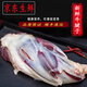 閑味客散養(yǎng)原切牛腱子黃牛肉腱子新鮮冷凍減脂健身代餐牛腱肉生鮮牛腱子 牛腱5斤+燉肉料包