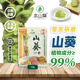 本山葵（PUREWASABI）本山葵云南產(chǎn)山葵醬10g無芥末辣根添加 用于日料壽司刺身烤肉魚生 辛辣味10g*5袋