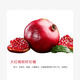 創(chuàng  )森農業(yè) 石榴樹(shù)苗盆栽果樹(shù)四季種植嫁接特大石榴果樹(shù)苗耐寒耐熱 大紅袍石榴樹(shù)苗全國室內外可種植 八年大苗/根莖3厘米粗/80cm-1米高