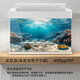 和上品3d高清陽(yáng)光海底魚(yú)缸背景貼紙5d定制裝飾壁紙水族箱不透光正面粘貼 HSP(YGPP)107 海疧羙憬寬120cm*高70cm