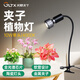 光聯(lián)天下光聯(lián)天下夾子植物生長燈led全光譜桌面綠植盆栽花卉植物補(bǔ)光射燈 10W單頭【全光譜4000K】Pro 夾子植物燈