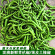 正宗杭椒新鮮現(xiàn)摘完全不辣生吃水果杭椒新鮮現(xiàn)摘薄皮燈籠椒青辣椒 杭椒【2斤裝】