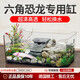 JCZS德國品牌六角恐龍專(zhuān)用缸蠑螈飼養缸長(cháng)方形生態(tài)亞克力魚(yú)缸客廳小型 加長(cháng)版陶瓷躲避屋