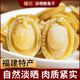 福建南日島特產(chǎn)干貨鮑魚干特大500g淡曬煲湯足干海鮮水產(chǎn)干貨禮品 45-50頭1斤（足干500g)禮盒裝