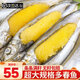 漁吻 加拿大滿籽多春魚 超大 條條滿籽 多春魚籽小粒冰鮮冷凍燒烤食材 【2斤】特大規(guī)格15-17cm