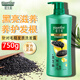 夏士蓮洗發(fā)水黑芝麻黑亮滋養(yǎng)750g去屑油頭受損分叉易斷養(yǎng)護(hù)洗發(fā)露配方 【改善受損】黑亮滋養(yǎng)750g