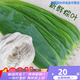 粽葉新鮮特大包粽子的葉子粽子葉大葉 新鮮野生棕葉子大號 100片【精品大葉10cm以上】送繩