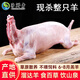 賽鮮者新疆草原散養(yǎng)羔羊現(xiàn)殺阿勒泰大尾羊全羊羊后腿肉整羊排企業(yè)團購 全羊整只18斤左右(送禮佳品)