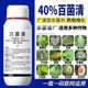 40%殺菌劑百菌清果樹蔬菜花卉殺菌劑防治銹病炭疽病葉斑病霜霉病 40%百菌清500克1瓶