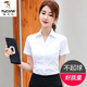 啄木鳥(niǎo)面試襯衫女工裝冰絲棉特大尺碼V/領(lǐng)白女短袖職業(yè)裝工作服胖M妹 白色(V/領(lǐng)短/袖) L【建議95-105斤】