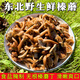 田禾萱新鮮榛蘑東北野生蘑菇焯水后腌制咸蘑菇不含水無(wú)根食用菌菇特產(chǎn) 腌制鮮榛蘑/口感脆嫩鮮香/2斤