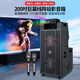 山凌2025新款投影K歌一體機(jī)音響雷神15號(hào)移動(dòng)線陣KTV點(diǎn)歌演出大功率直播藍(lán)牙戶外K歌廣場(chǎng)舞音箱 黑色-2024新款線陣投影K歌音響