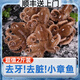 SMVP迷你八爪魚小章魚大爆頭八抓魚新鮮海鮮水產(chǎn)芥末章魚足麻辣熟火鍋 2斤裝【約30-35只】 1g(凈重)