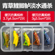 弘昱青魚草魚鯉魚鯽魚通殺餌套裝路亞餌淡水仿生螞蚱蟋蟀昆蟲假餌 青草鯉鱸專殺5只