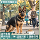 愛(ài)的抱抱純種德牧幼犬弓背雙血統德國牧羊犬警犬大型犬狼狗獵犬寵物狗活體 血統級 德牧 公