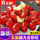 龍蝦尾冷凍鮮活小龍蝦無(wú)冰衣蝦尾特大號蝦球鮮凍批發(fā)商用生鮮整箱 無(wú)冰蝦尾（大號5斤）約90只/斤