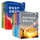 備戰2026考季】新大綱應急社官方中級注冊安全工程師2024教材注安師2025年真題試卷章節習題集安全生產(chǎn)法律法規建筑化工贈網(wǎng)課 ①【自學(xué)成才】官方教材+視頻教程+題庫+押題 全4科】建筑安全+法規+