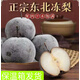 果農(nóng)俠東北凍梨新鮮水果當(dāng)季蘋果梨大果秋梨黑梨白梨延邊特產(chǎn)梨子 4斤裝
