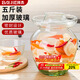 拜杰玻璃泡菜壇子5斤裝加厚密封圓口腌菜缸腌蛋罐泡酒瓶玻璃瓶泡菜壇