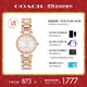 蔻馳（COACH）CARY系列鑲鉆貝母表盤(pán)鋼帶石英女表14503838 禮物/送禮