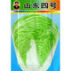 大白菜種子四季播庭院陽(yáng)臺蔬菜娃娃菜青菜抗熱耐寒秋季易種生長(cháng)快 山東四號約1000?！驹b】