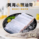海頭灣帶魚(yú)段生鮮無(wú)冰黃海小眼油帶魚(yú)中段 去頭去尾新鮮帶魚(yú)400g/包 精品帶魚(yú)中段800g（400g*2包）