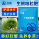 衛(wèi)漁 水草旺顆粒肥水產(chǎn)養(yǎng)殖小龍蝦螃蟹水草養(yǎng)護草肥伊樂藻輪葉黑藻用 生根粒粒肥500g/袋