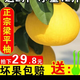 水果蔬菜重慶特產(chǎn)梁平麻柚子土柚子平頂柚白心柚精選大果 正宗梁平平柚子產(chǎn)地直發(fā)鮮甜爆汁余味略麻苦 嘗鮮價(jià)4斤2個(gè)（大果）帶箱重