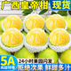晟容果蔬正宗廣西皇帝柑新鮮水果桔子當季整箱包郵皮薄多汁純甜孕婦水果 5斤甄選果【肉質(zhì)鮮嫩】?jì)?.5斤