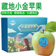 褚蘋(píng)果藏地小金蘋(píng)果【中秋禮盒】正宗高原金冠青蘋(píng)果當季新鮮水果整箱 10-12枚  精品禮盒裝5斤