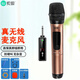 索愛(ài)無(wú)線(xiàn)可充電麥克風(fēng)話(huà)筒接收器家庭KTV會(huì )議K歌卡拉OK唱歌主播網(wǎng)絡(luò ) 金色版 單無(wú)線(xiàn)話(huà)筒