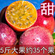 爾蝶廣西百香果5斤大果當季新鮮水果雞蛋果西番蓮果醬一級原漿整箱 精選5斤裝 凈重4.5斤 中果60-80g