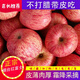 25年新蘋(píng)果 JD快遞正宗煙臺紅富士蘋(píng)果棲霞萍果新鮮水果 時(shí)令生鮮 9斤紅富士【煙臺直發(fā)】中果