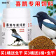 朝歌鳥(niǎo)喜鵲飼料專(zhuān)用鳥(niǎo)糧營(yíng)養提性開(kāi)口通用糧食喜鵲鳥(niǎo)食松鴉紅嘴藍鵲料 500g 喜鵲鳥(niǎo)食