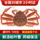 【活鮮】松葉蟹俄羅斯鮮活進(jìn)口板蟹活蟹海鮮水產(chǎn) 1.8-2.0斤/1只