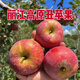 2025年新鮮麗江寧浪瀘沽湖高原丑蘋(píng)果 帶箱10斤凈重9斤中大果(70mm-85mm)