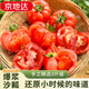 京地達山東普羅旺斯西紅柿番茄凈重3斤 單果120g+源頭直發(fā)包郵