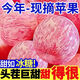 【超低價】陜西冰糖心紅富士蘋果當季水果新鮮整箱批發(fā)脆甜 整箱10斤特級大果