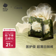 babycare山茶花夏季輕薄款一次性內(nèi)褲孕婦產(chǎn)后出差旅行女士免洗 L碼 4條