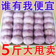 【降價了】山東金鄉(xiāng)大蒜便宜干蒜大頭蒜特大果新干蒜特級紫皮大蒜 產(chǎn)地特賣： 2500g 大果
