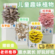 iosn蘑菇種植包兒童種植蘑菇小盆栽學(xué)校桌面趣味神奇植物家庭菌菇菌包 【禮盒裝】灰平菇-送噴壺 【兒童趣味丨輕松養(yǎng)活丨可食用】
